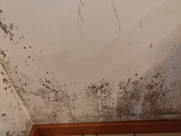 Pintor de Casas - Casa