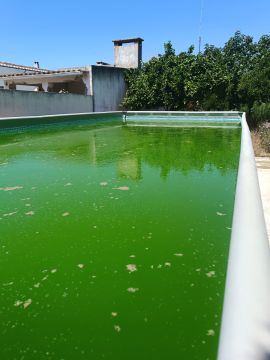 Limpeza ou Manutenção de Piscina