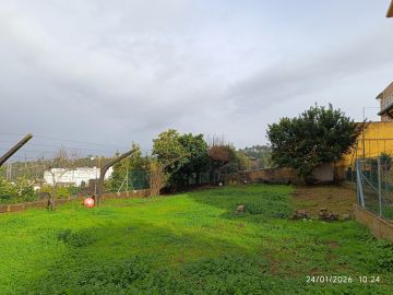 Poda e Manutenção de Árvores