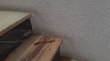Especialista de Limpeza Recorrente de Escritórios - Serviços Domésticos
