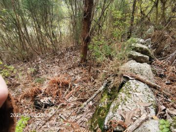 Especialista de Limpeza de Terrenos