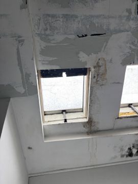 Fenster