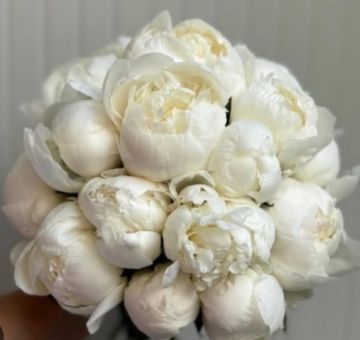 Florista