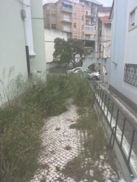 Jardinagem