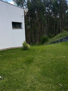 Jardinagem e Relvados - Casa