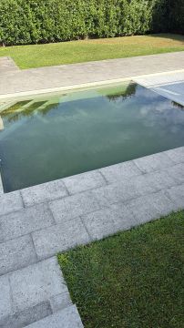 Especialista de Limpeza de Piscinas