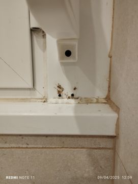 Window Repair