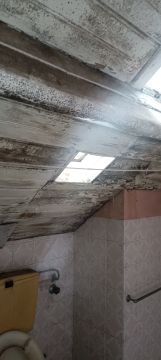 Reparação ou Manutenção de Telhado