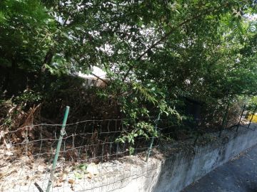Jardinagem e Relvados