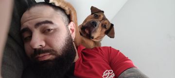 Dog Hotel