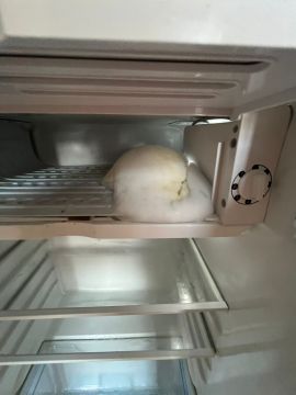 Manutenção ou Reparação de Frigorífico