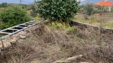 Jardinagem e Relvados