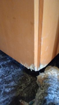 Carpentry and Woodworking