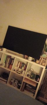 TV Repair Specialist