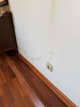 Experten für Parkettböden