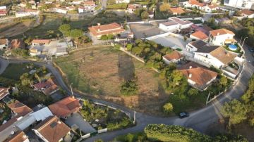Especialista de Limpeza de Terrenos
