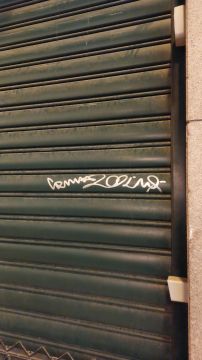 Door Painter