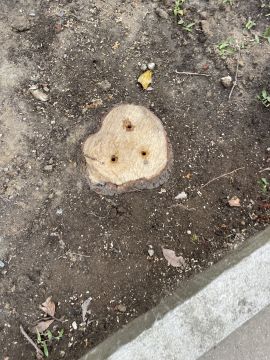 Serviço de Jardinagem - Casa