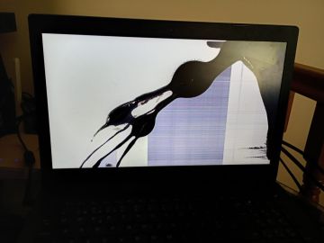 Especialista em Computadores