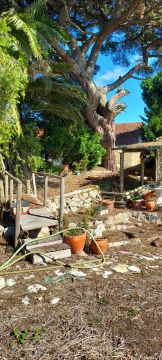 Jardinagem e Relvados - Casa