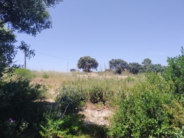 Limpeza de Terrenos