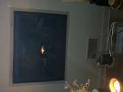 Fireplace and Chimney Inspector