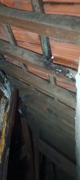 Especialista de Reparação de Telhados