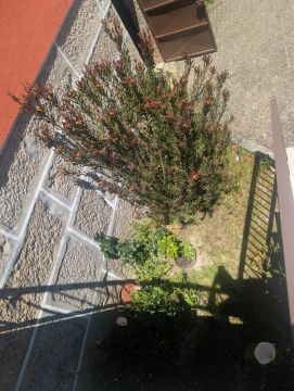 Jardinagem e Relvados