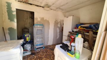 Especialista em Remoção de Bolor - Serviços Domésticos