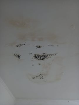 Telhados e Coberturas