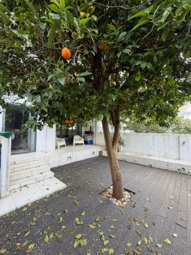 Jardinagem