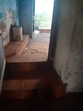 Aplicación de estuco