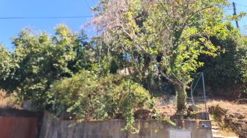 Jardinagem e Relvados - Casa