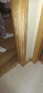 Carpenter - Home Improvements