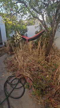 Serviço de Jardinagem