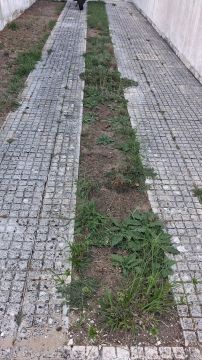 Construtor Civil