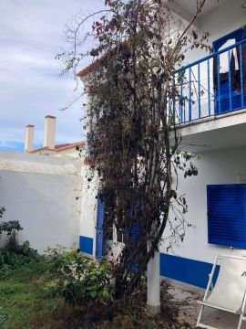 Serviço de Jardinagem - Casa