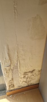 Pintura de Casas
