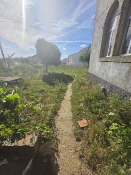 Serviço de Jardinagem