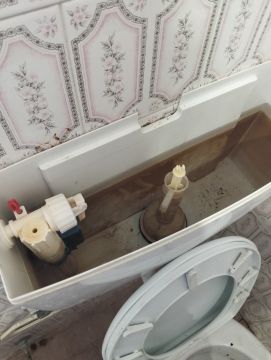Canalizador (Reparação de Sanita)
