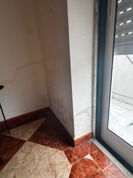 Pintura de Casas