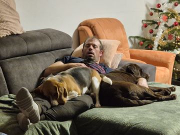 Hundepension