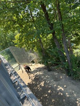 Tierpension