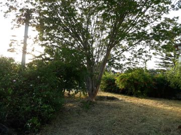 Imobiliário - Serviços Variados