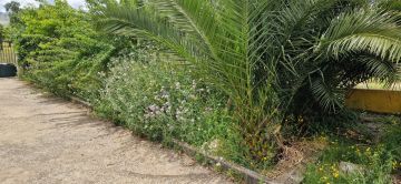 Gartenarbeiten