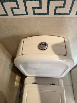 Manitas