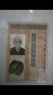 Genealogy
