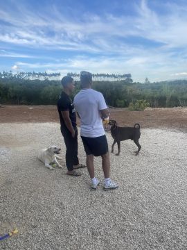 Hotel e Creche para Animais