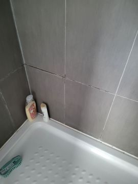Tile Repair Specialist