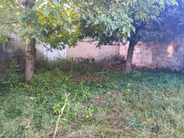 Gartenarbeit